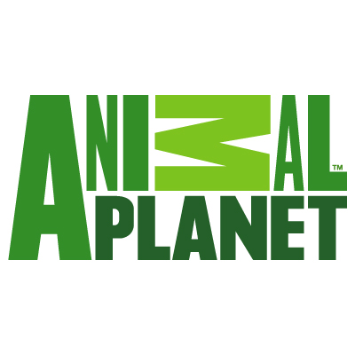Free download Animal planet logo vector
