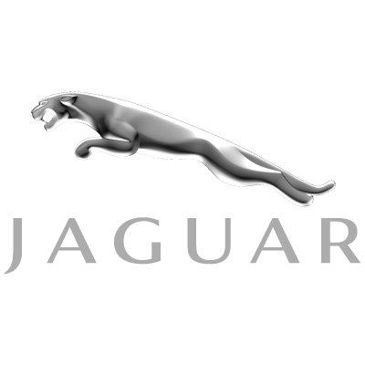 Jaguar 3D logo vector