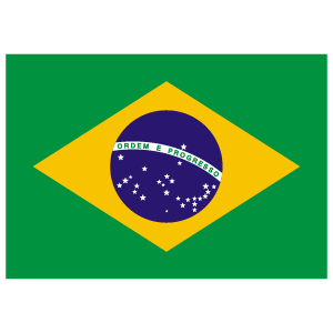 Flag of Brazil logo vector