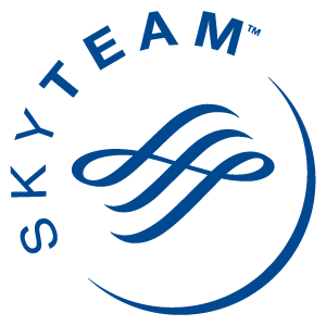 SkyTeam logo vector