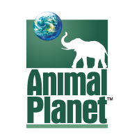 Animal Planet TV vector logo