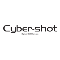 Cyber-shot logo vector