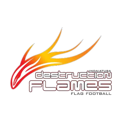 Destruction Flames logo vector