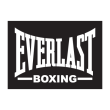Free download Everlast Boxing Sport logo vector Everlast Boxing Sport logo vector