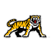 Hamilton Tiger-Cats club logo vector
