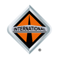 International vector logo
