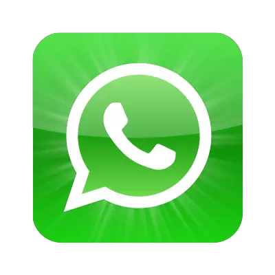 WhatsApp icon vector