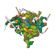 Free download Teenage Mutant Ninja Turtles logo vector Teenage Mutant Ninja Turtles logo vector