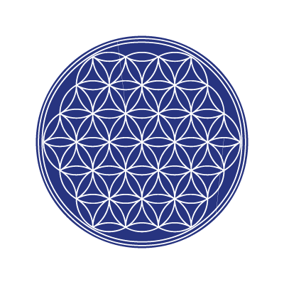 The flower of life logo vector