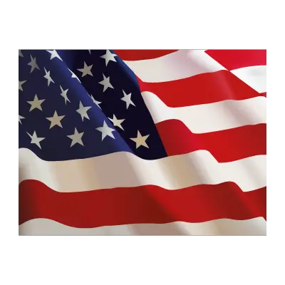 Flag of US (.EPS) vector logo
