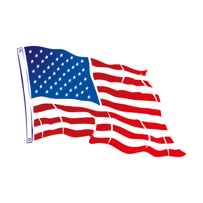 Flag of USA Flying logo vector