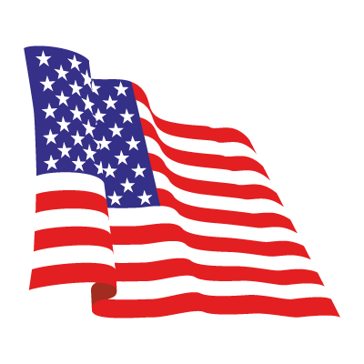 Flag of USA logo vector