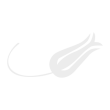 Turk Hava Yollari (.EPS) logo vector