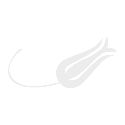 Turk Hava Yollari (.EPS) logo vector