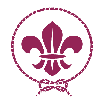 World scout movement logo vector