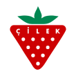 Free download Cilek logo vector Cilek logo vector