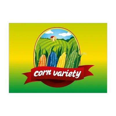 Health food Corn cultivate logo template