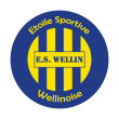 Free download ES Wellinoise (Current) logo vector ES Wellinoise (Current) logo vector