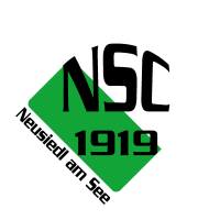 NSC 1919 vector logo