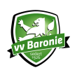 VV Baronie logo vector