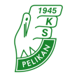 Free download KS Pelikan Lowicz logo vector KS Pelikan Lowicz logo vector
