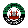 Free download KS Polkowice logo vector KS Polkowice logo vector