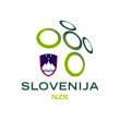 Free download Nogometna zveza Slovenije (1920) logo vector Nogometna zveza Slovenije (1920) logo vector