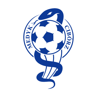 ZLKS Medyk Ciborz logo vector