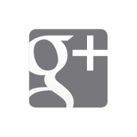 Google Plus grey vector logo