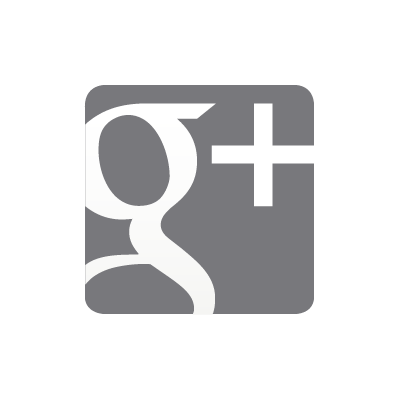 Google Plus grey logo vector