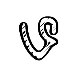 Vine sketched social logo