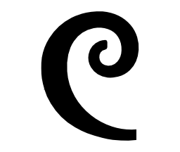 Designmodo icon