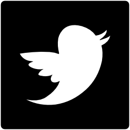 Twitter logo bird shape in a square