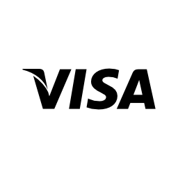 Visa pay logo